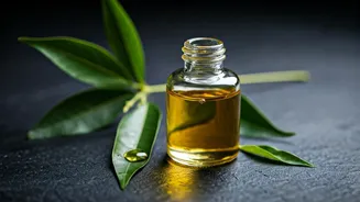 DIY Camphor Hair Oil: Your Secret Weapon for Rapid Hair Growth and Scalp Relief