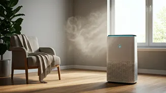 Breathe Easy: Top 5 Ways to Conquer Hay Fever Season and Allergy Symptoms