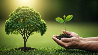 Related Stories banner