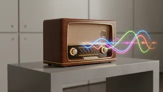 Why Retro Music Is Having A New Moment In India