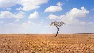 What Bengaluru's Second-Driest July in 108 Years Means for City Residents