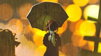 Heavy Rain Essentials for People Who Spend Hours Commuting