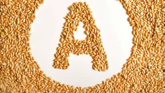 How Pairing Cereal Grains With Legumes Maximises Protein Quality Scores For Complete Amino
