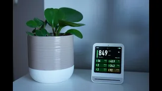 12 Effective Ways to Reduce Indoor Air Pollution