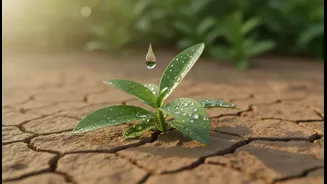 Rainy Season Doesn't Have To Slow Your Progress