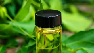 Natural Pest Control For Home Gardens Using Neem Oil And Soapy Water For Greenery