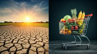 Monsoon Gaps Can Change Grocery Bills Too