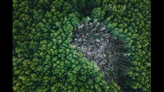 Climate Change Drives Local Extinction of Temperate Species