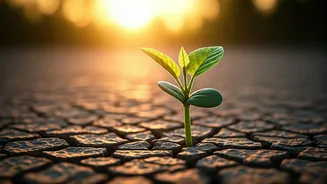 Beyond Titles: Cultivating Lasting Impact Over Superficial Success