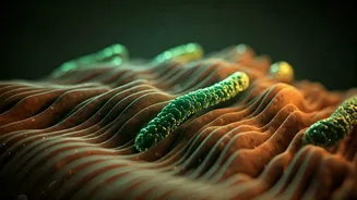 Young Indians Are Eating For Gut Health