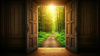 Harrison Ford's Inspiring Journey: Second Chances in Life