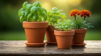 Start Gardening With These Easy Picks
