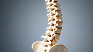 Ease Back Pain With These Exercises At Home