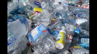 Plástico "vivo" se decompõe em seis dias sem criar microplásticos