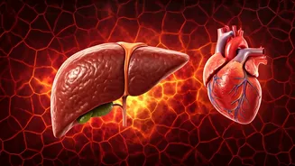 Related Stories banner