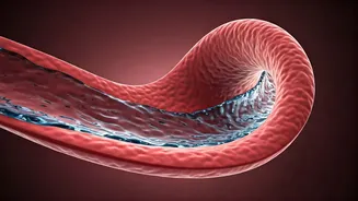 Artery Health: 5 Drinks to Protect Your Heart