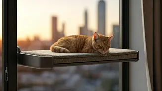 Give High-Rise Cats Luxury Sky Views Via Mounted Sun Perches
