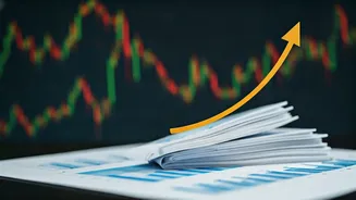 Mutual Fund Inflows: Decoding the Trends