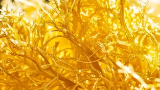 Why Restoring Soil Microbes Prevents Root Rot In Plants Recovering From Heavy Waterlogging