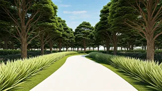 Gentle Fitness: The 6-6-6 Walking Rule Explained