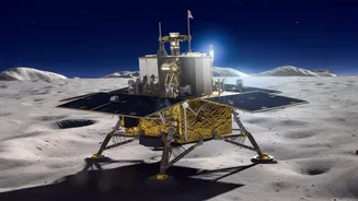 NASA Research Shows Shaded Lunar Regions May Protect Some Microbes From Harsh Conditions