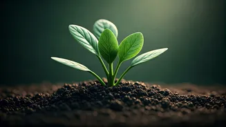 5 Natural Boosters to Thicken Your Hair: Proven Remedies for Fuller Locks