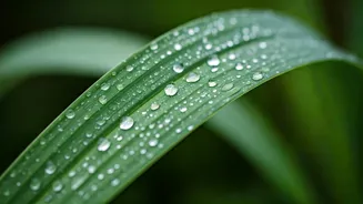 Rain-Friendly Skincare That Really Works