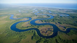 What Scientists Can Learn About Wetland Changes From NISAR's Daily Radar Image Release