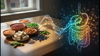 How plant-based protein digestibility charts clarify actual biological availability of meat alternatives