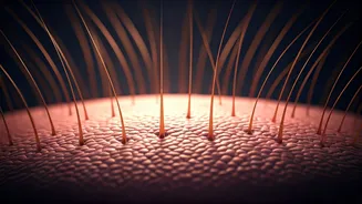Healthy Hair Starts With Better Scalp Habits