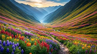 Uttarakhand's Valley Of Flowers Has Entered Travel Chat