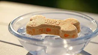 Keep Dogs Cool Using Homemade Frozen Peanut Butter Pumpkin Toys