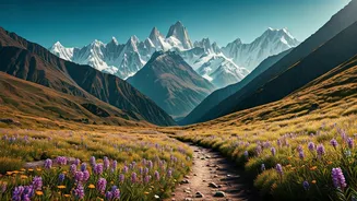 Walk Through Magnificent Alpine Trails Opening In High Uttarakhand