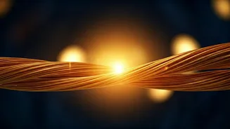 Unveiling India-US Ties: A New Chapter?