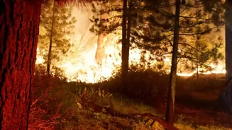 FireSat Satellites Use Infrared Sensors To Hunt For Early Wildfires
