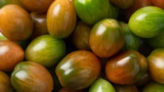 Tiger tomato: Your new skincare essential