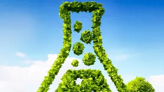 A New Sustainable Aviation Fuel Catalyst Uses Cobalt And Manganese In The Catalyst Design