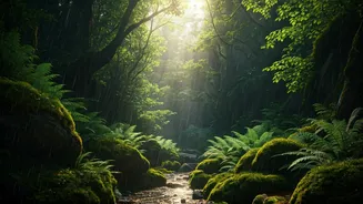 Rain Lovers Need These Hidden Destinations Now