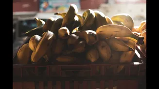 Trichy Banana Farmers Warned of Fire Risks Amid Drought