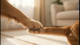 Dog and Cat Interactions May Shape Daily Stress and Mood Differently: Why the Story Matters Now
