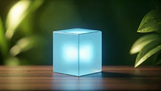 Master Stress: Unlock Calm with the Simple Power of Box Breathing