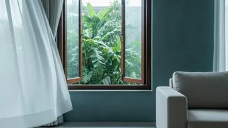 Rainy Season Ventilation: How To Choose The Right Time To Open Windows