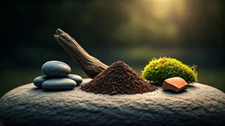 Harnessing Earth's Energy: 5 Natural Elements for Stress Relief and Well-being