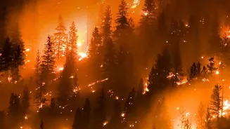 Google’s FireSat Network Takes A New Step In Tracking Wildfires