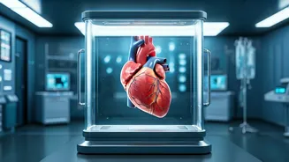 5 Habits to Shield Your Heart: Experts' Advice