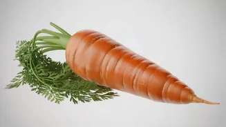 Why carrot leaves should be a part of your skincare