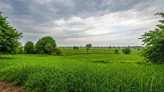 Temperatures Drop In East Uttar Pradesh As Localized Showers Begin