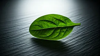 Unveiling Magnesium's Crucial Role: Recognize the Subtle Signs of Deficiency