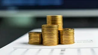 PPF Account Rules: Kerala HC Ruling on Extra Interest Explained