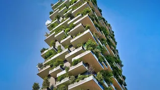 How Micro-Engineered Soil Sensors Prevent Overwatering In Urban Balcony Garden Plants